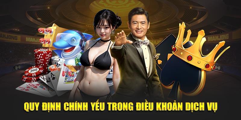 Quy định chính yếu trong điều khoản dịch vụ