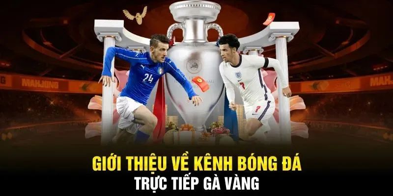 Giới thiệu Gavangtv về những thông tin tổng quan