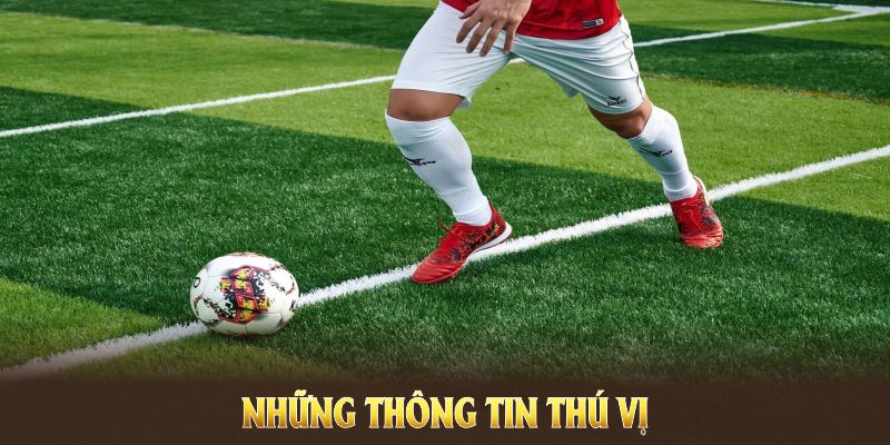 Những thông tin thú vị về quá trình phát triển của World Cup